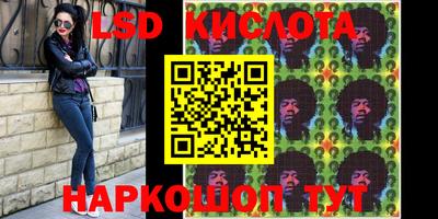 крисы Будённовск